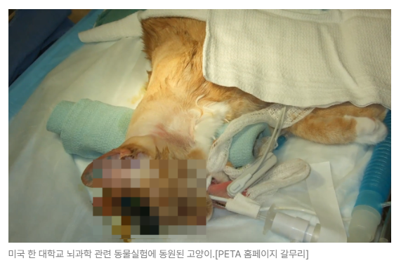 스크린샷 2026-08-10 092654.png