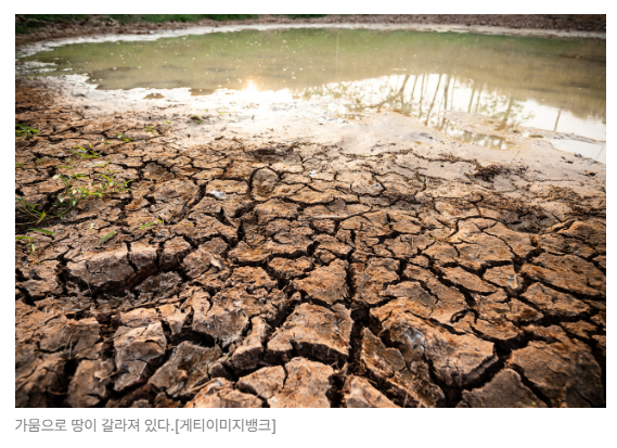 스크린샷 2026-08-19 090343.png