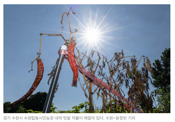 스크린샷 2026-08-20 090159.png