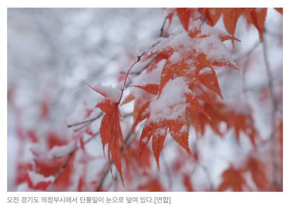 스크린샷 2026-08-20 090253.png