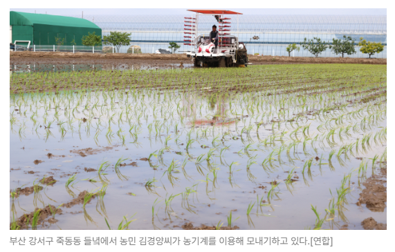 스크린샷 2026-08-24 091149.png