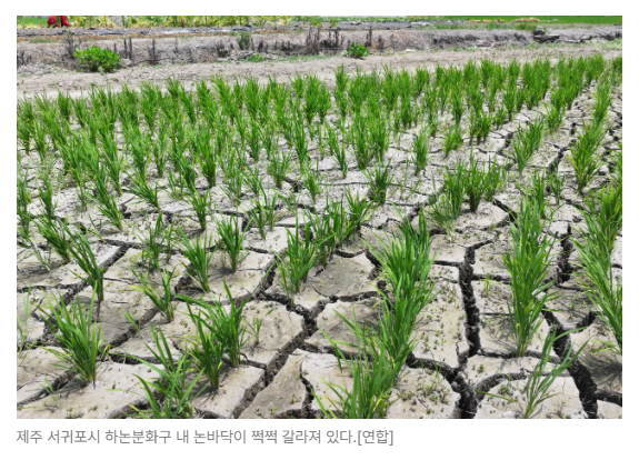스크린샷 2026-08-24 091207.png