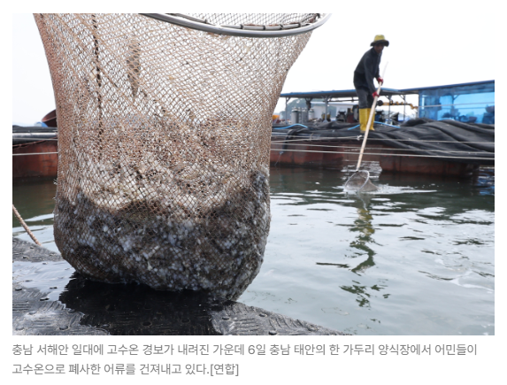 스크린샷 2026-08-27 090141.png