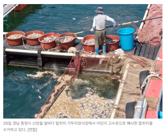 스크린샷 2026-08-27 090150.png