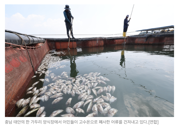 스크린샷 2026-08-27 090212.png