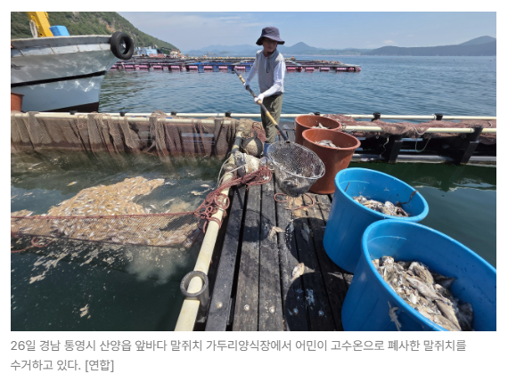 스크린샷 2026-08-27 090221.png