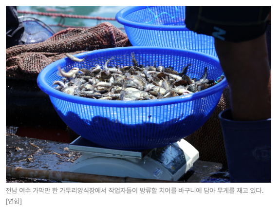 스크린샷 2026-08-27 090232.png