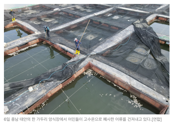 스크린샷 2026-08-27 090243.png