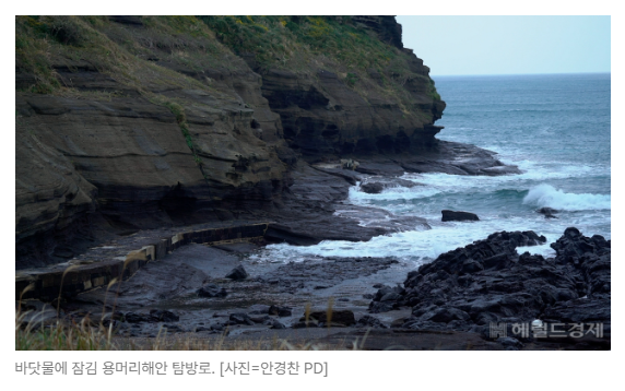 스크린샷 2026-09-01 093612.png