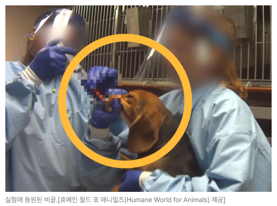 스크린샷 2026-09-14 110658.png