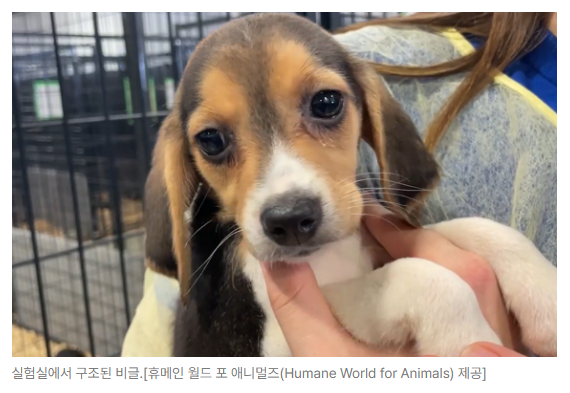 스크린샷 2026-09-14 110708.png