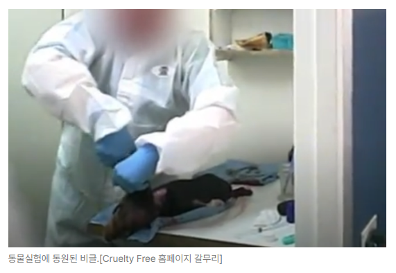 스크린샷 2026-09-14 110717.png