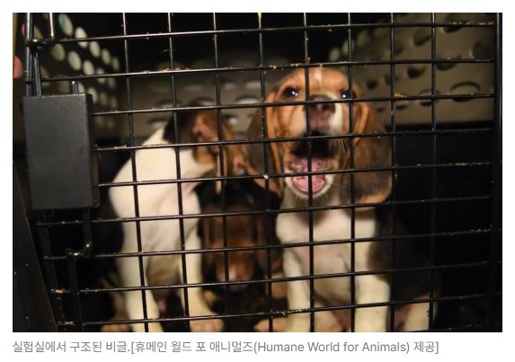 스크린샷 2026-09-14 110723.png