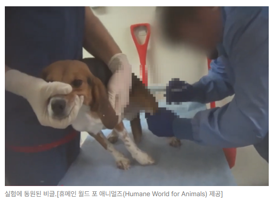 스크린샷 2026-09-14 110729.png