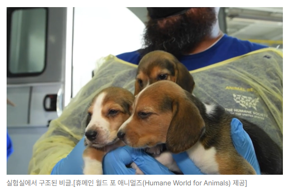 스크린샷 2026-09-14 110740.png