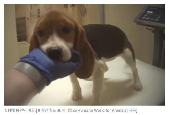 스크린샷 2026-09-14 110749.png