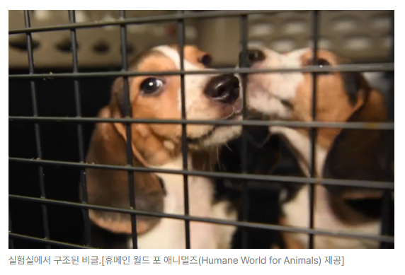 스크린샷 2026-09-14 110802.png
