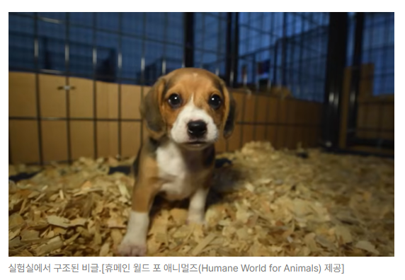 스크린샷 2026-09-14 110808.png