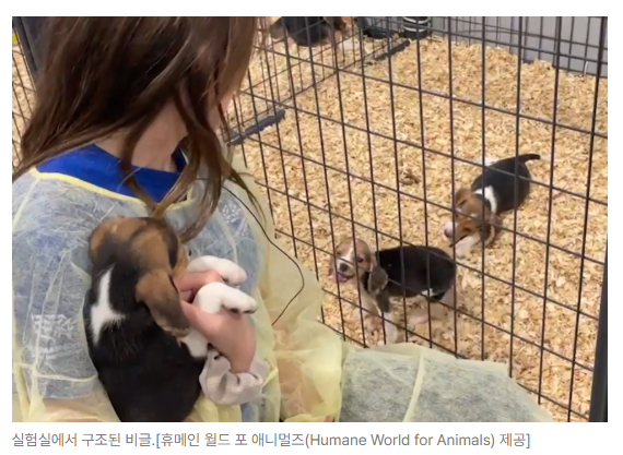 스크린샷 2026-09-14 110814.png